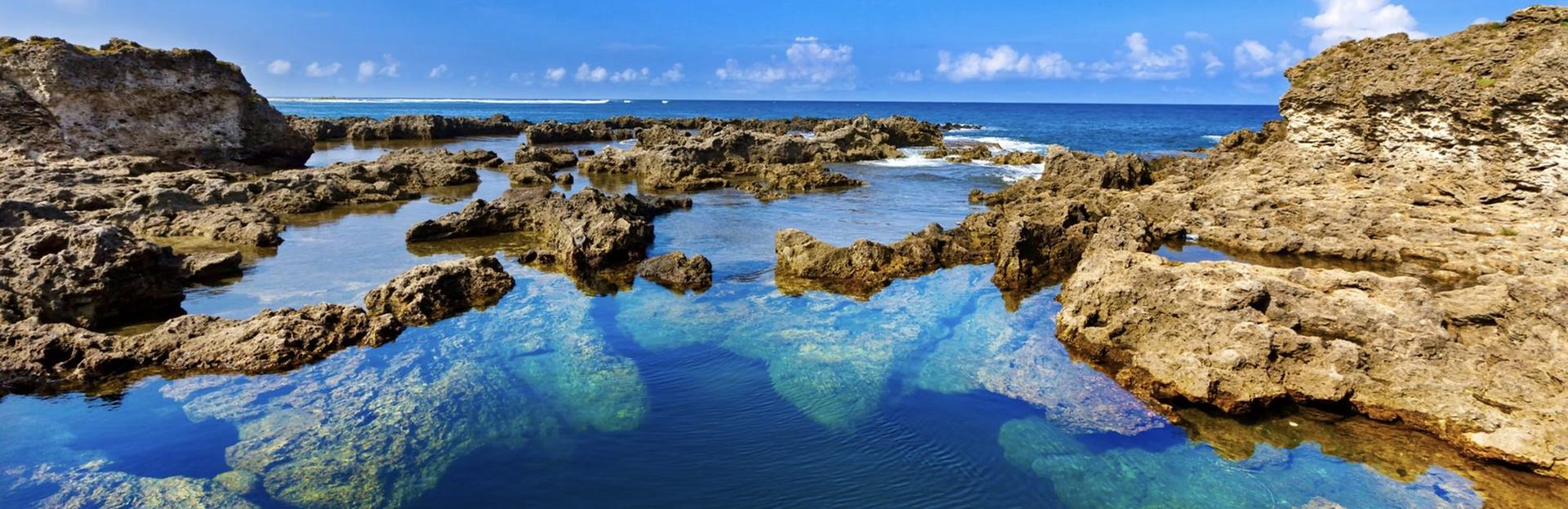 Rock pools along a sunlit coastline